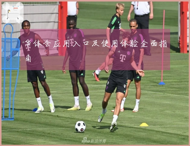 华体会应用入口及使用体验全面指南